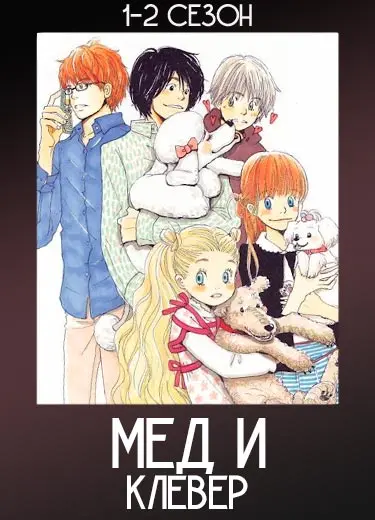 Мед и клевер