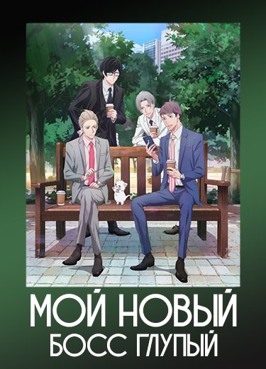 Мой новый босс глупый